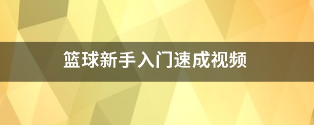 篮球明星分享的试训心得_1